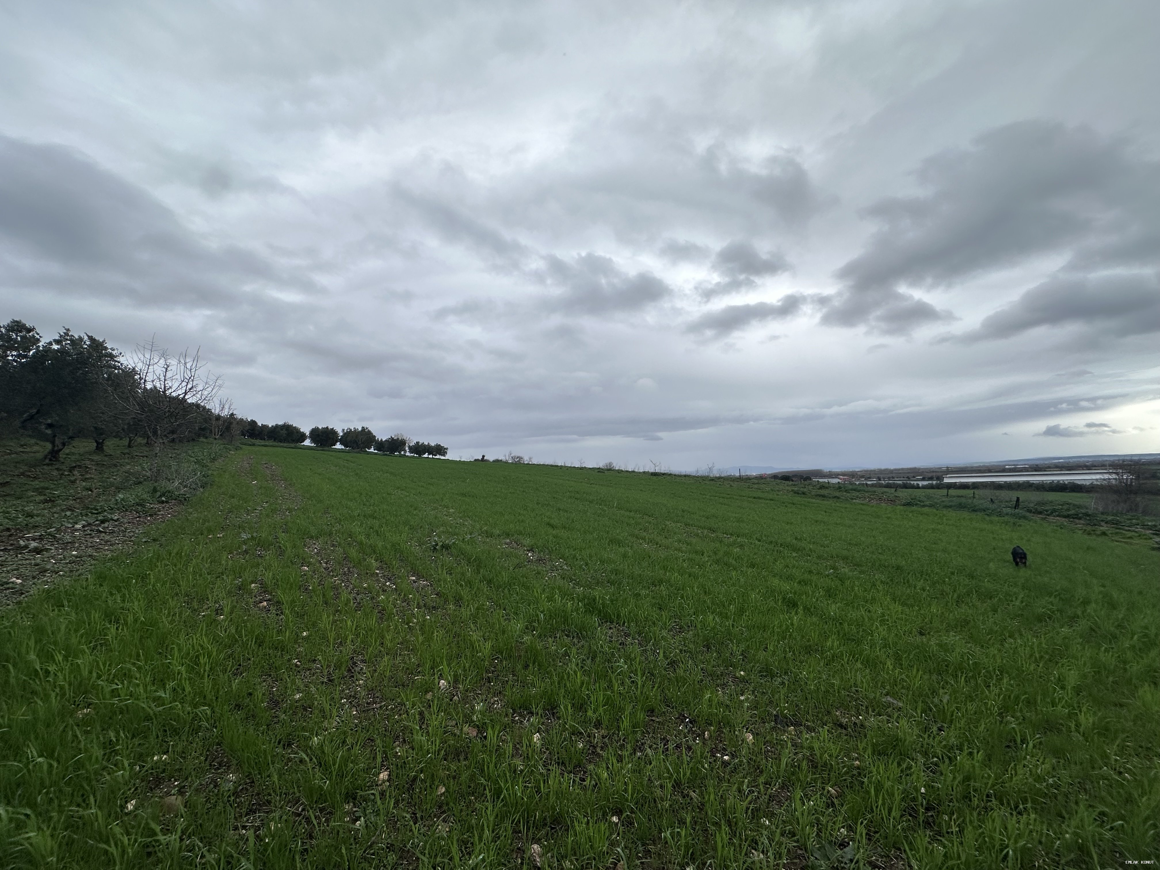 Şahinköy Hobi Bahçesine Uygun Tarla