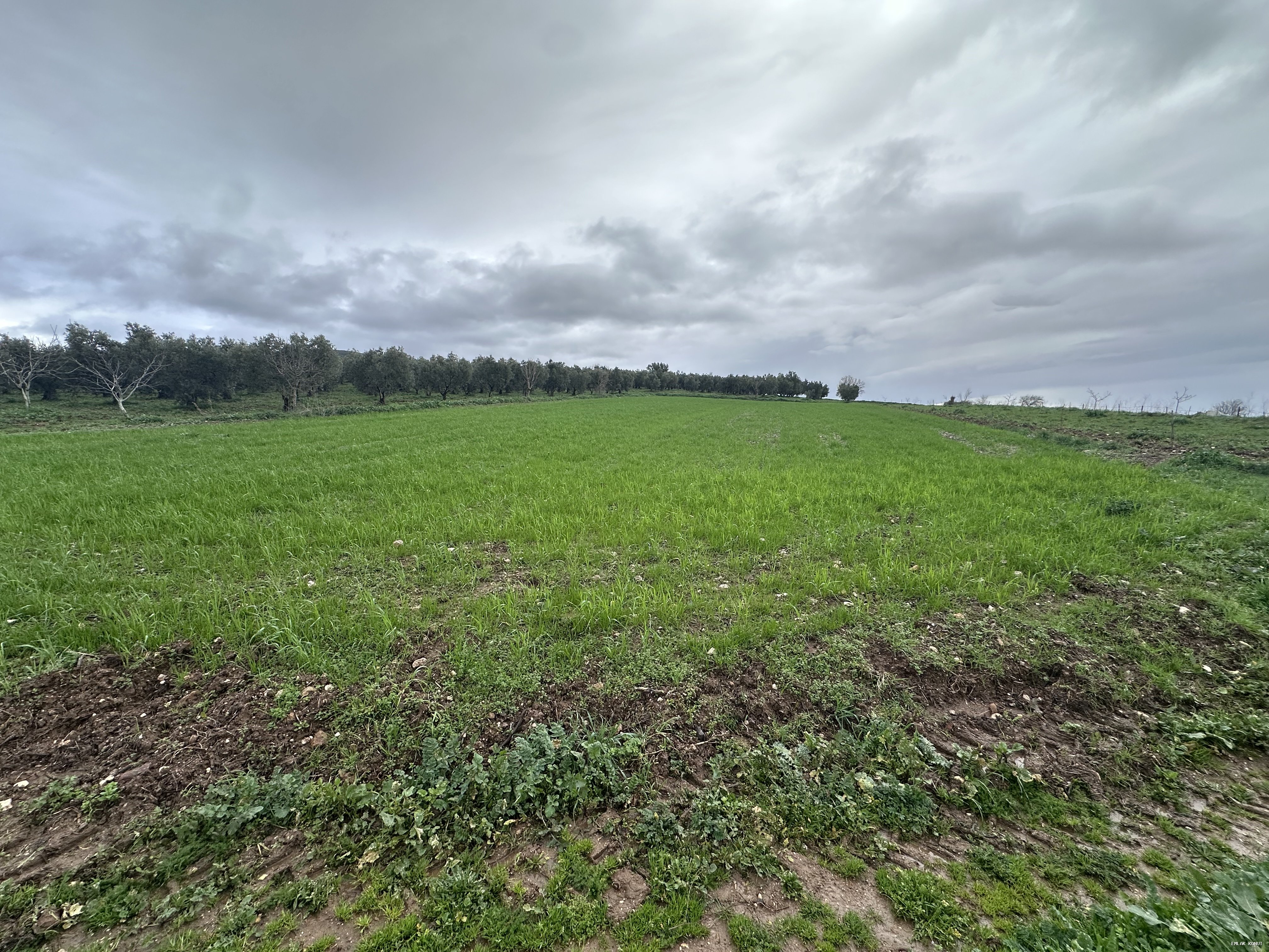 Şahinköy Hobi Bahçesine Uygun Tarla